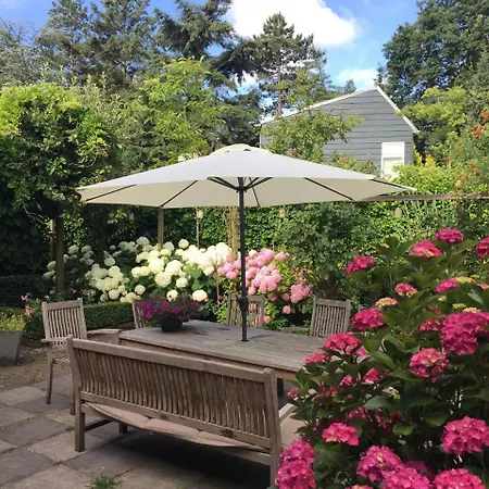 Bloemendaalse Zon * 布罗门代尔